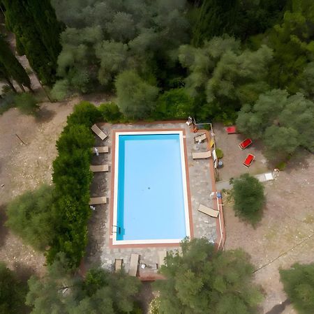Villa I Tigli Campiglia Marittima Luaran gambar